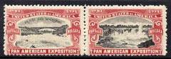 Cinderella - United States 1901 Pan American Exposition se-tenant pair showing Buffalo Bridge & Niagara Falls in red & black