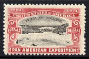 Cinderella - United States 1901 Pan American Exposition perforated label showing Buffalo Bridge in red & black unmounted mint*
