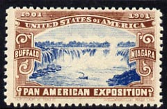 Cinderella - United States 1901 Pan American Exposition perforated label showing Niagara Falls in brown & blue*