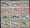 Match Box Labels - complete set of 12 Fish, superb unused condition (Yugoslavian Drava series)