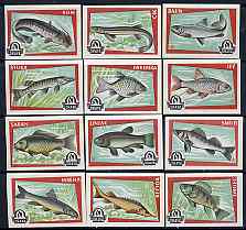 Match Box Labels - complete set of 12 Fish, superb unused condition (Yugoslavian Drava series)