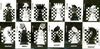 Match Box Labels - complete set of 12 Chessmen, superb unused condition (Yugoslavian Dolac series)