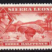 Sierra Leone 1938-44 KG6 Rice Harvesting 1.5d scarlet unmounted mint SG 190