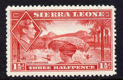 Sierra Leone 1938-44 KG6 Rice Harvesting 1.5d scarlet unmounted mint SG 190