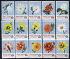 Match Box Labels - complete set of 15 Flowers (blue background), superb unused condition (Yugoslavian Drava Series)