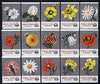 Match Box Labels - complete set of 15 Flowers (grey background), superb unused condition (Yugoslavian Drava Series)