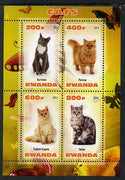 Rwanda 2013 Domestic Cats #2 perf sheetlet containing 4 values unmounted mint