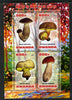 Rwanda 2013 Fungi #1 perf sheetlet containing 4 values unmounted mint