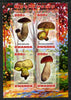 Rwanda 2013 Fungi #1 imperf sheetlet containing 4 values unmounted mint
