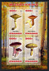Rwanda 2013 Fungi #2 imperf sheetlet containing 4 values unmounted mint
