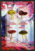 Rwanda 2013 Fungi #4 imperf sheetlet containing 4 values unmounted mint