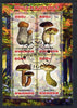 Rwanda 2013 Fungi #5 perf sheetlet containing 4 values fine cto used