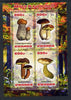 Rwanda 2013 Fungi #5 perf sheetlet containing 4 values unmounted mint