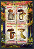 Rwanda 2013 Fungi #5 imperf sheetlet containing 4 values unmounted mint