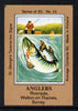 Match Box Labels - Anglers (No.13 from a series of 50 Pub signs) light brown background, very fine unused condition (St George's Taverns)