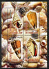 Chad 2013 Sea Shells perf sheetlet containing 4 values unmounted mint