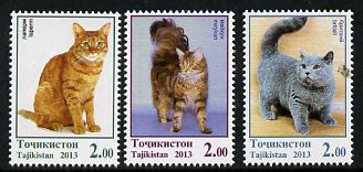 Tadjikistan 2013 Domestic Cats perf set of 3 values unmounted mint