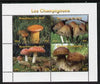Mali 2014 Mushrooms #1 perf sheetlet containing 4 values unmounted mint. Note this item is privately produced and is offered purely on its thematic appeal