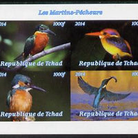 Chad 2014 Kingfishers imperf sheetlet containing 4 values unmounted mint. Note this item is privately produced and is offered purely on its thematic appeal. .