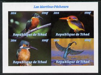 Chad 2014 Kingfishers imperf sheetlet containing 4 values unmounted mint. Note this item is privately produced and is offered purely on its thematic appeal. .