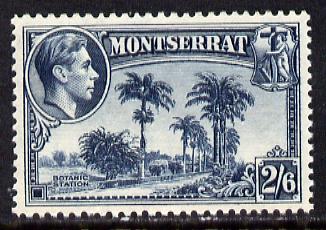 Montserrat 1938-48 Botanic Station 2s6d slate-blue P13 unmounted mint, SG 109