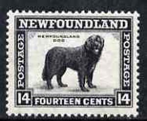 Newfoundland 1932 Newfoundland Dog 14c comb perf 13.5 unmounted mint, SG 216*