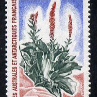 French Southern & Antarctic Territories 1962-72 Kerguelen Cabbage 45f unmounted mint SG 32