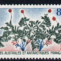French Southern & Antarctic Territories 1973 Plants - Acaena ascendens 87f unmounted mint SG 84