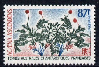 French Southern & Antarctic Territories 1973 Plants - Acaena ascendens 87f unmounted mint SG 84
