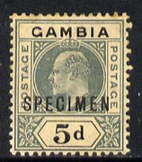 Gambia 1904-06 KE7 MCA 5d overprinted SPECIMEN with gum but overall toning SG 63s (only about 750 produced)