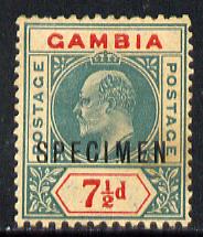 Gambia 1904-06 KE7 MCA 7.5d overprinted SPECIMEN showing the broken M variety with gum but overall toning SG 65s (only 13 can exist)