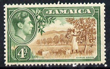 Jamaica 1938-52 KG6 Citrus Grove 4d brown & green unmounted mint, SG 127