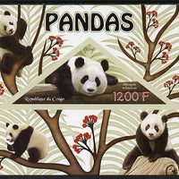 Congo 2014 Pandas imperf s/sheet containing one triangular-shaped value unmounted mint