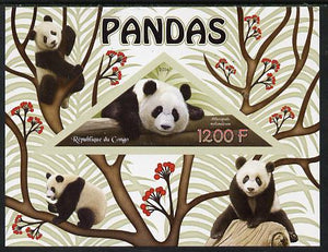 Congo 2014 Pandas imperf s/sheet containing one triangular-shaped value unmounted mint