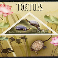 Congo 2014 Turtles imperf s/sheet containing one triangular-shaped value unmounted mint