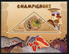 Congo 2014 Fungi perf s/sheet containing one triangular-shaped value unmounted mint
