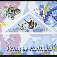 Congo 2014 Fish imperf s/sheet containing one triangular-shaped value unmounted mint