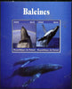 Chad 2015 Whales perf sheetlet containing 2 values unmounted mint. Note this item is privately produced and is offered purely on its thematic appeal. .