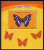 Congo 2015 Butterflies #2 perf deluxe sheet unmounted mint. Note this item is privately produced and is offered purely on its thematic appeal