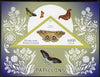 Madagascar 2015 Butterflies #3 imperf deluxe sheet containing one triangular value unmounted mint