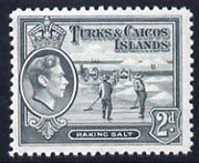Turks & Caicos Islands 1938 KG6 Raking Salt 2d grey unmounted mint, SG 198*
