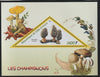 Ivory Coast 2016 Mushrooms perf deluxe sheet containing one triangular value unmounted mint