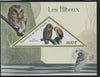 Ivory Coast 2016 Owls perf deluxe sheet containing one triangular value unmounted mint
