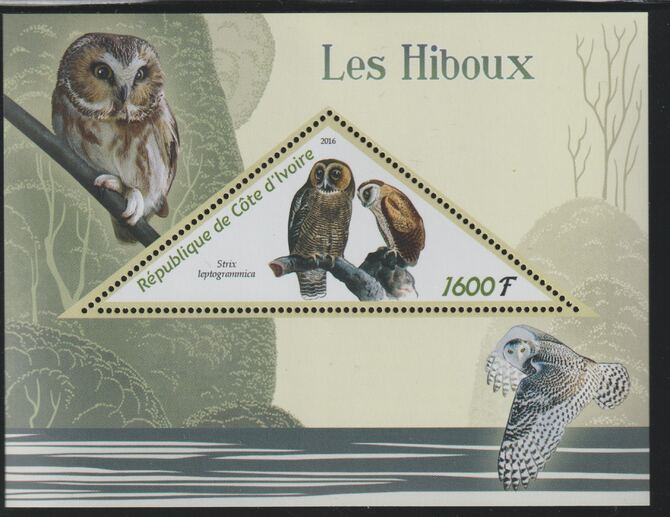 Ivory Coast 2016 Owls perf deluxe sheet containing one triangular value unmounted mint