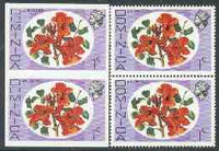 Dominica 1975-78 African Tulip 1c unmounted mint imperforate pair plus normal pair (as SG 491)