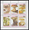 Abkhazia 1997 Mushrooms perf sheetlet containing complete set of 6 values unmounted mint
