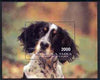 Touva 1997 Dogs of the World perf souvenir sheet (2000 value) unmounted mint