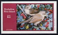 Eynhallow 1982 Birds #16 imperf souvenir sheet (£1 value) unmounted mint
