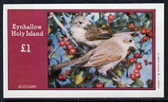 Eynhallow 1982 Birds #16 imperf souvenir sheet (£1 value) unmounted mint