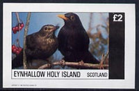 Eynhallow 1982 Birds #16 (Blackbird) imperf deluxe sheet (£2 value) unmounted mint